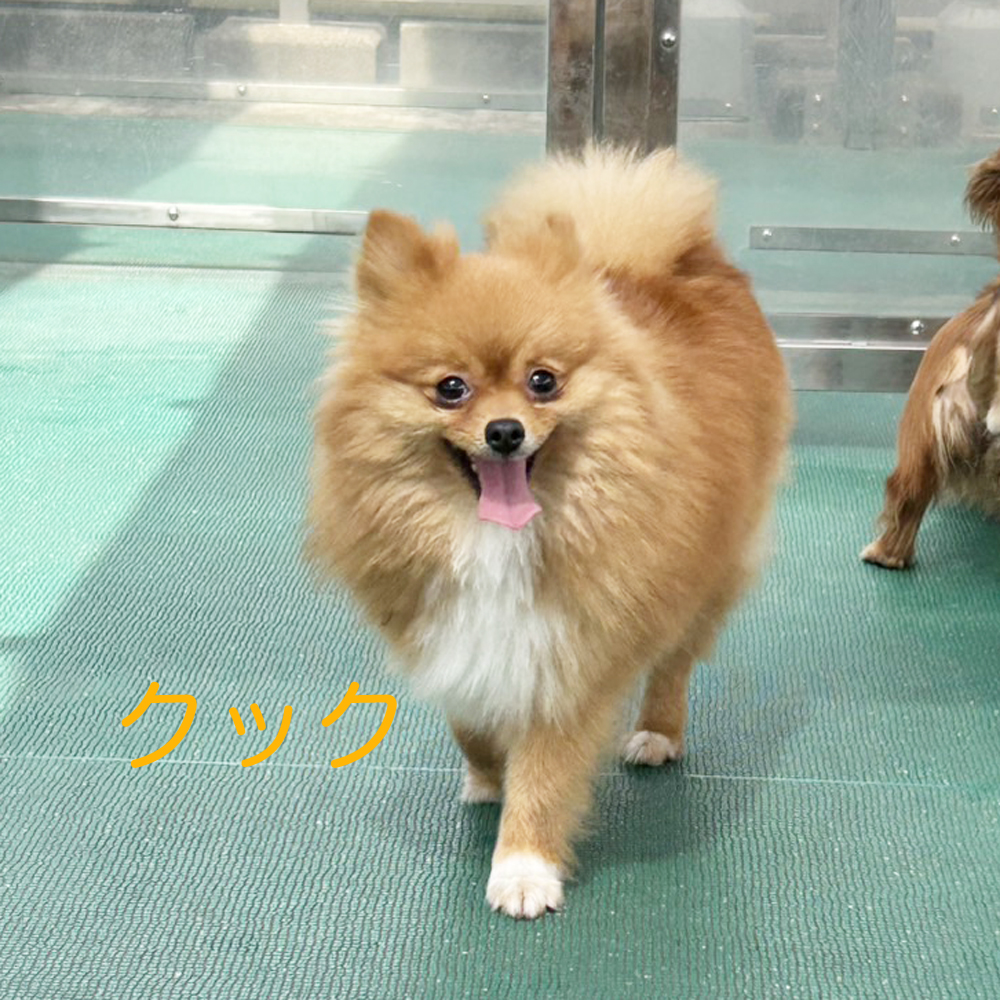 kBeʐ^A